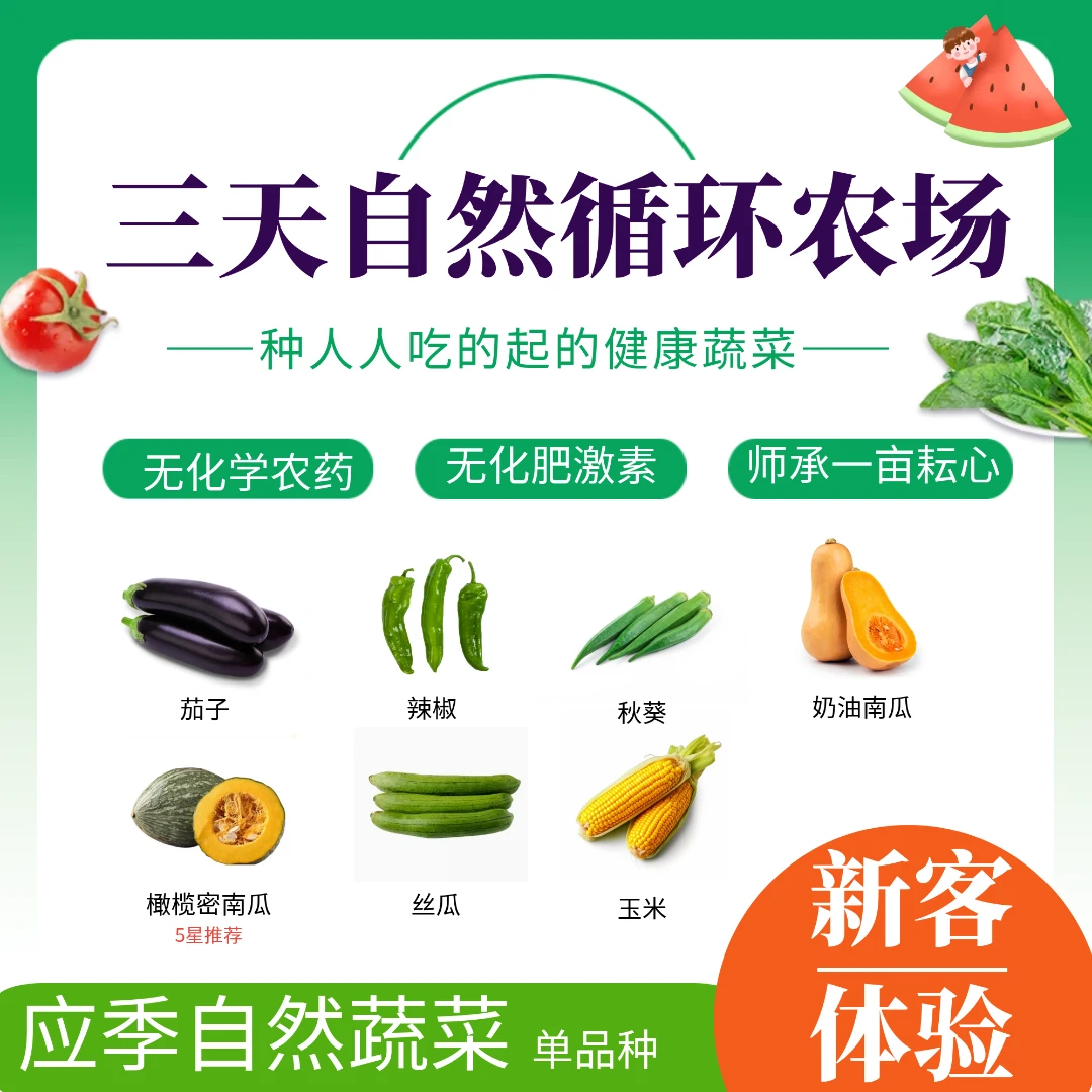 【三天农场自种】生态食材单品自选 【现摘现发】1斤/箱