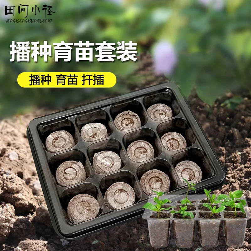 家用育苗穴盘育苗神器专用盆营养杯塑料钵长方形托盘扦插芽菜盒箱