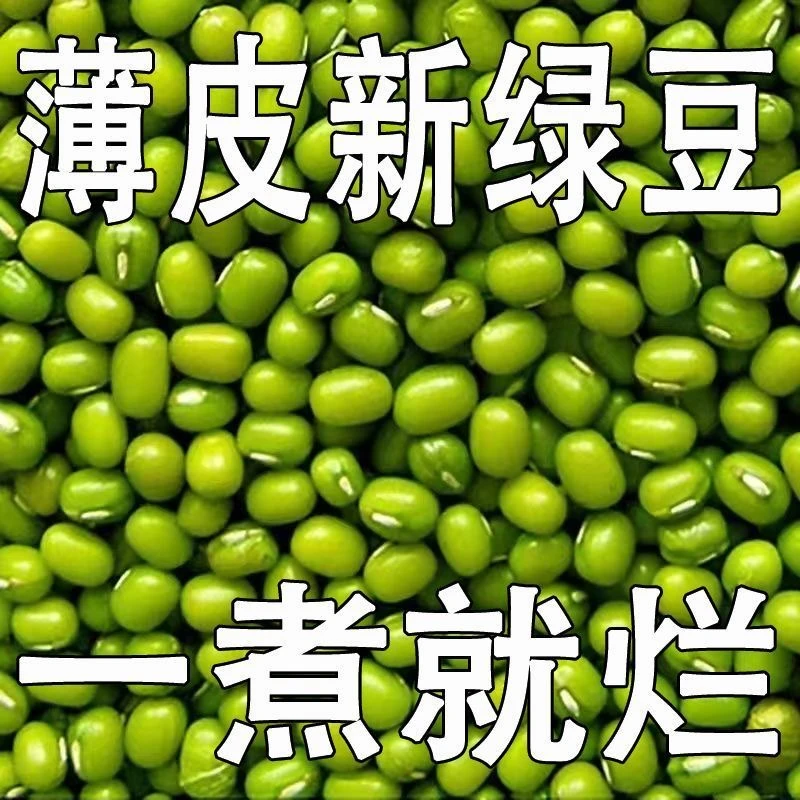 新货精选绿豆新货家用新鲜绿豆汤可发芽批发农家杂粮