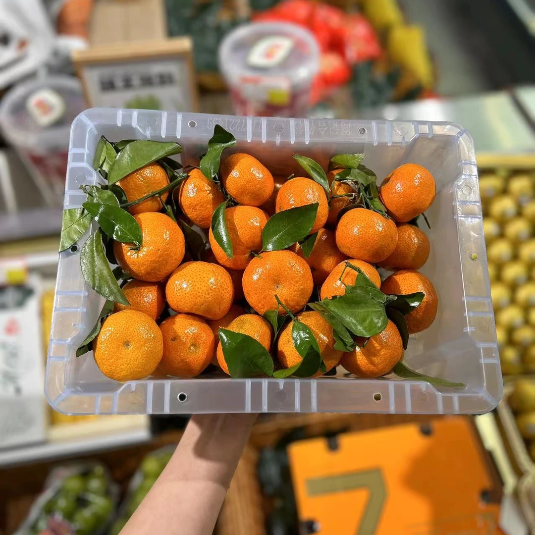 砂糖橘一箱