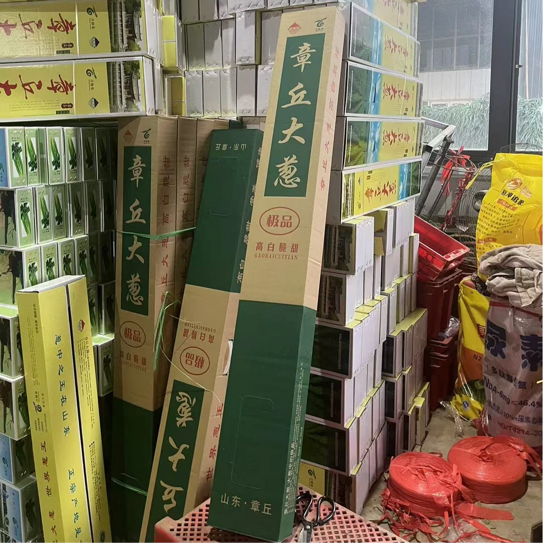 特选章丘大葱 1.5米礼盒包装 6斤装