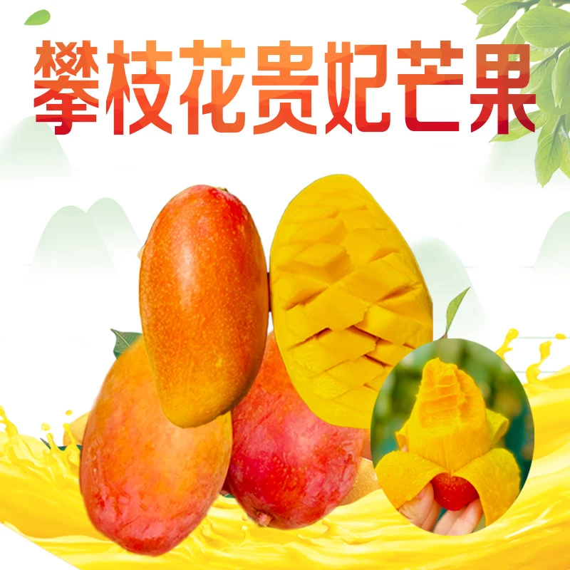 【一口一个】 攀枝花精品贵妃芒3斤优质绿色 树上熟现摘小果  新鲜