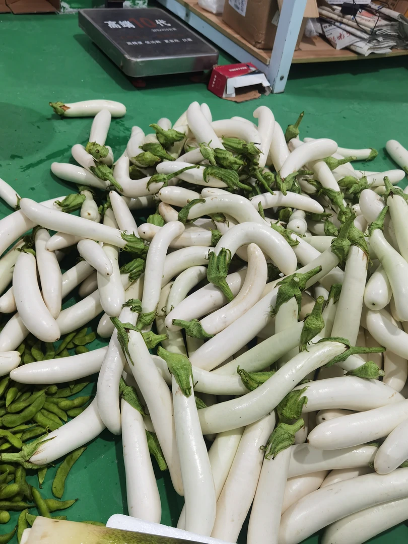 安庆本地露天种植白茄子农家菜