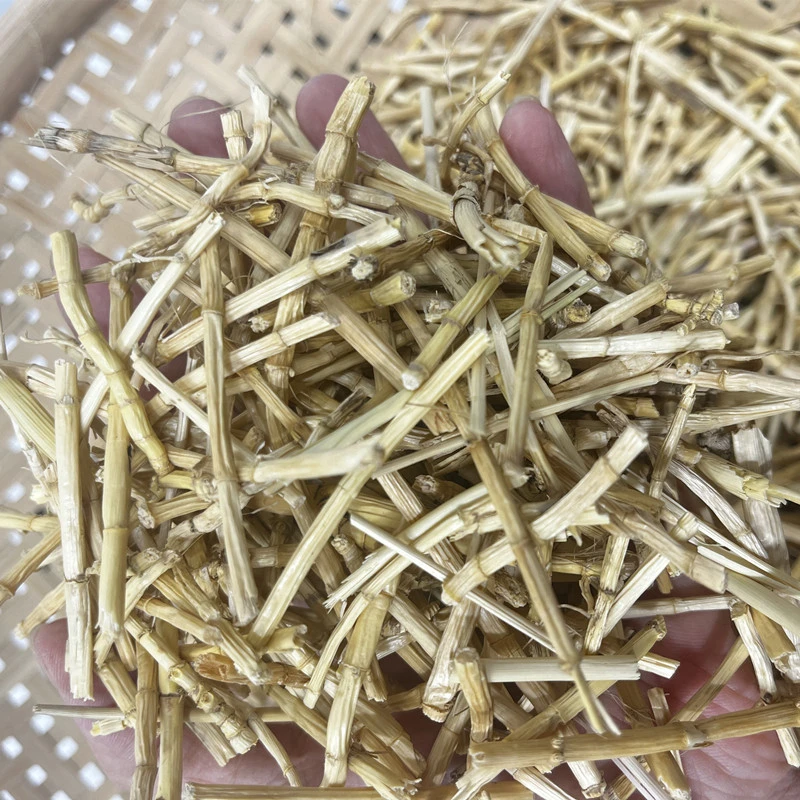 新鲜晒干白茅根 茅草根包邮