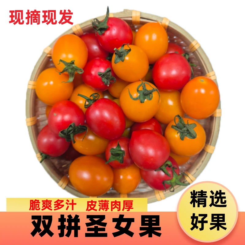 双拼圣女果鲜嫩美味新鲜水果种植食用樱桃小番茄西红柿顺丰包邮