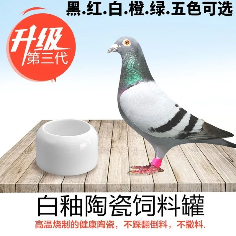 信鸽赛鸽防撒陶瓷罐鸽子