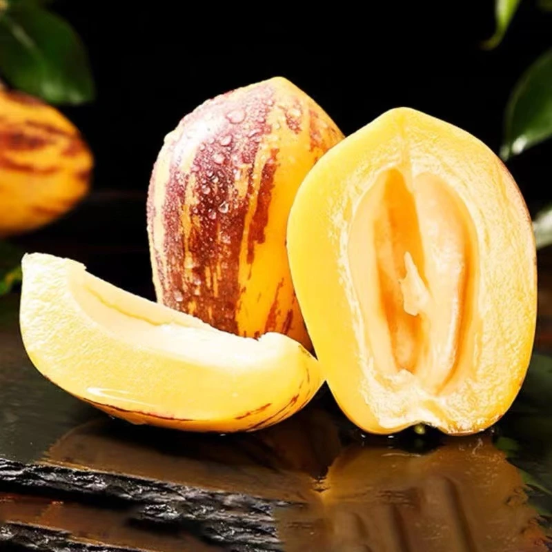 甘肃民勤沙漠人参果净重4.5斤（单果150-450g） 坏果包赔