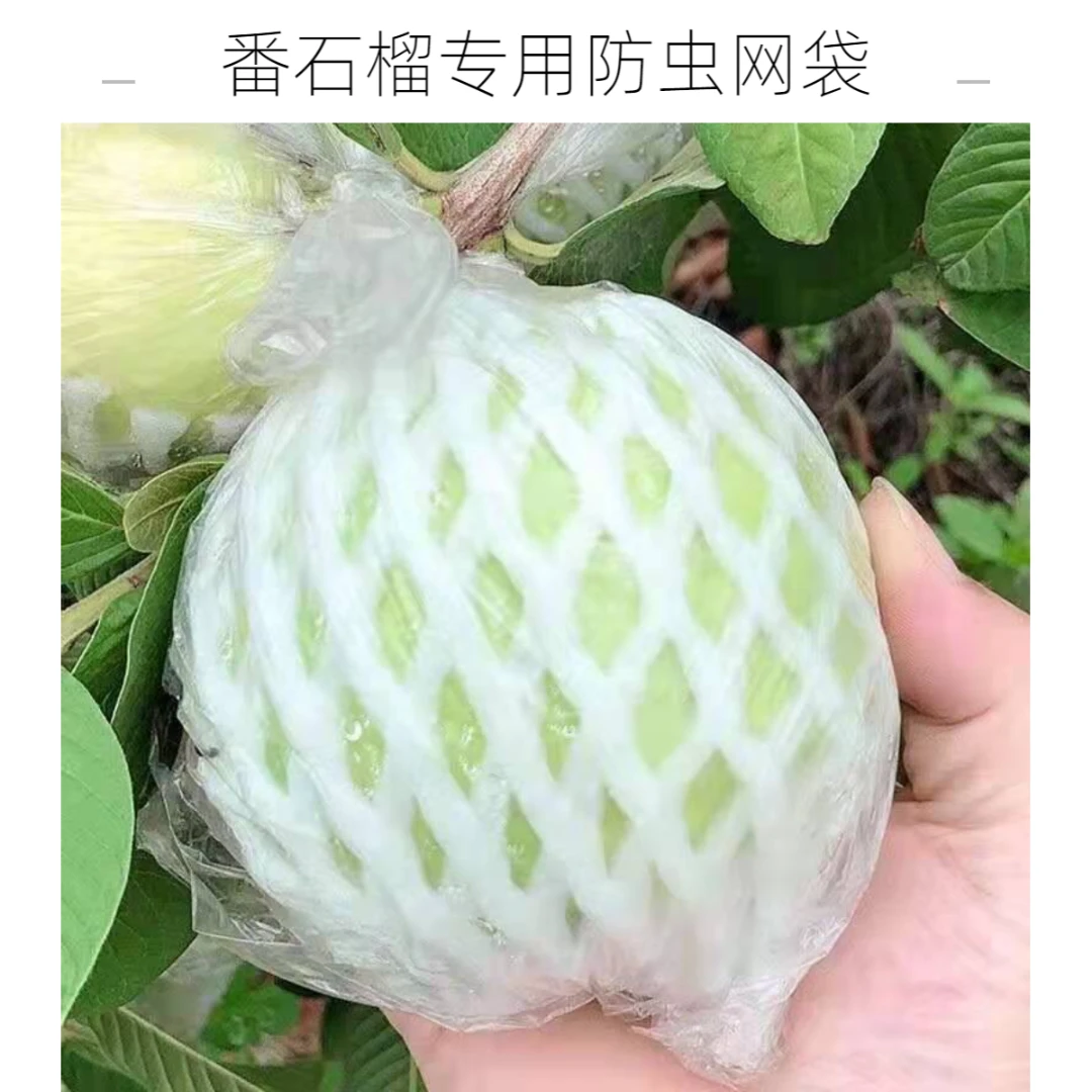 芭乐透气薄膜袋防虫套袋番石榴保护袋番石榴套袋芭乐网套一体套袋