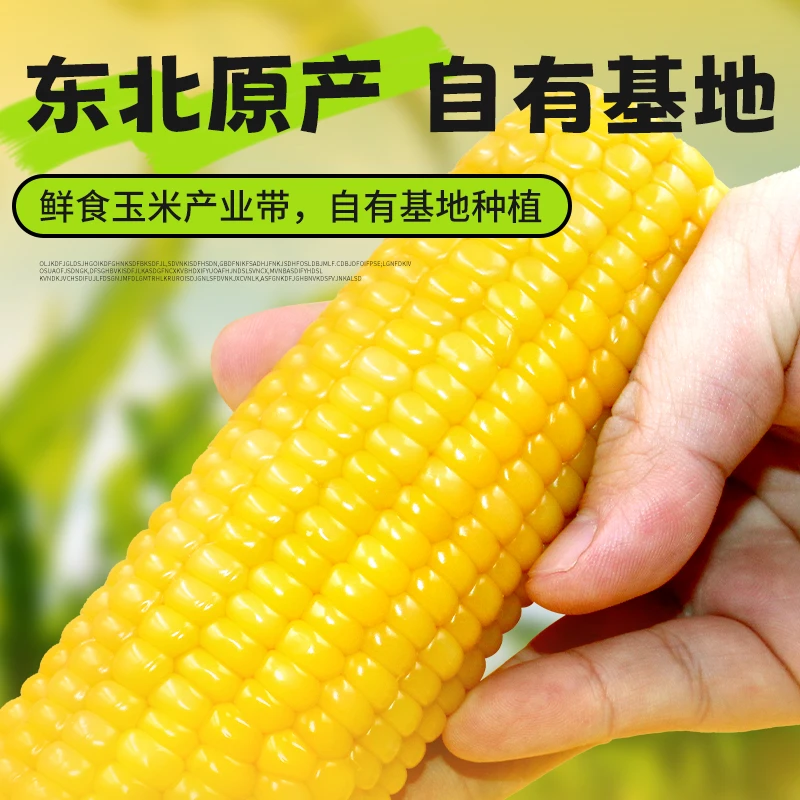 东北黄糯3棒真空包装黏玉米糯玉米棒甜苞米粘玉米加热非即食