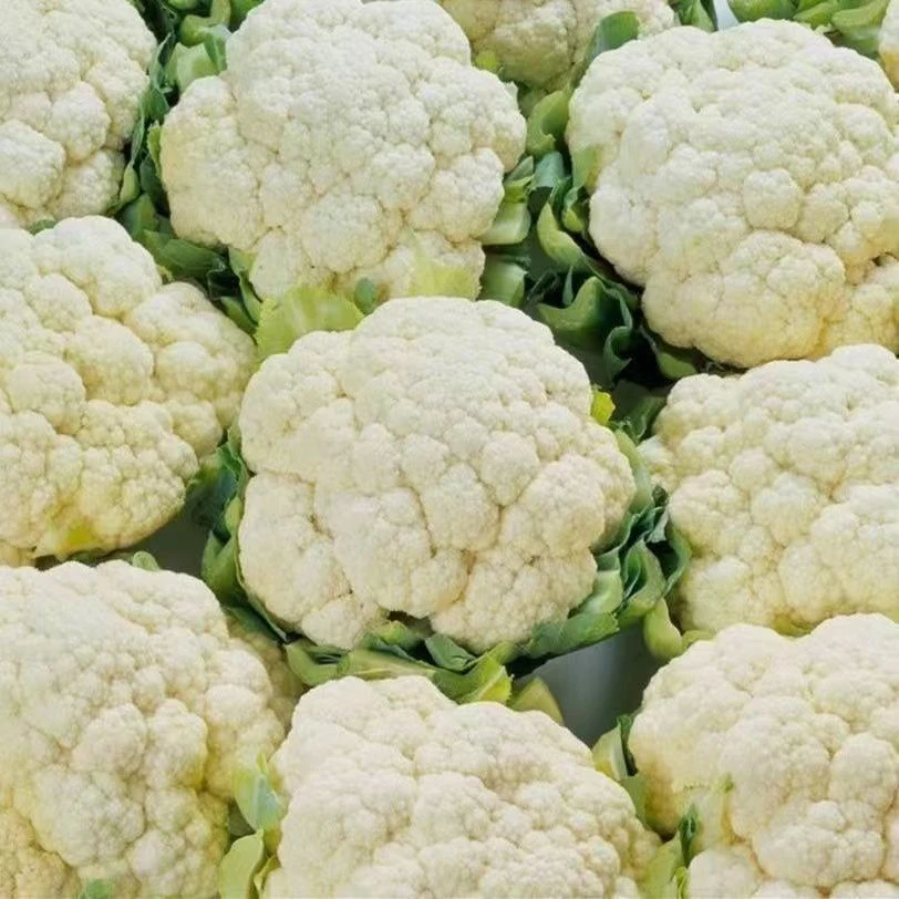 菜花一个 约2-2.5斤