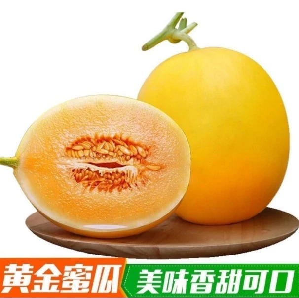 黄金蜜瓜1个