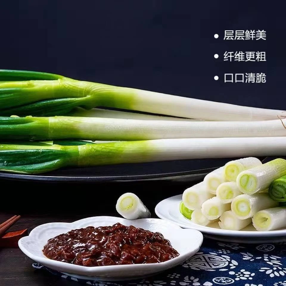 【小扬哥推荐】正宗山东大葱新鲜特级非非章丘甜葱现挖现发铁杆蘸
