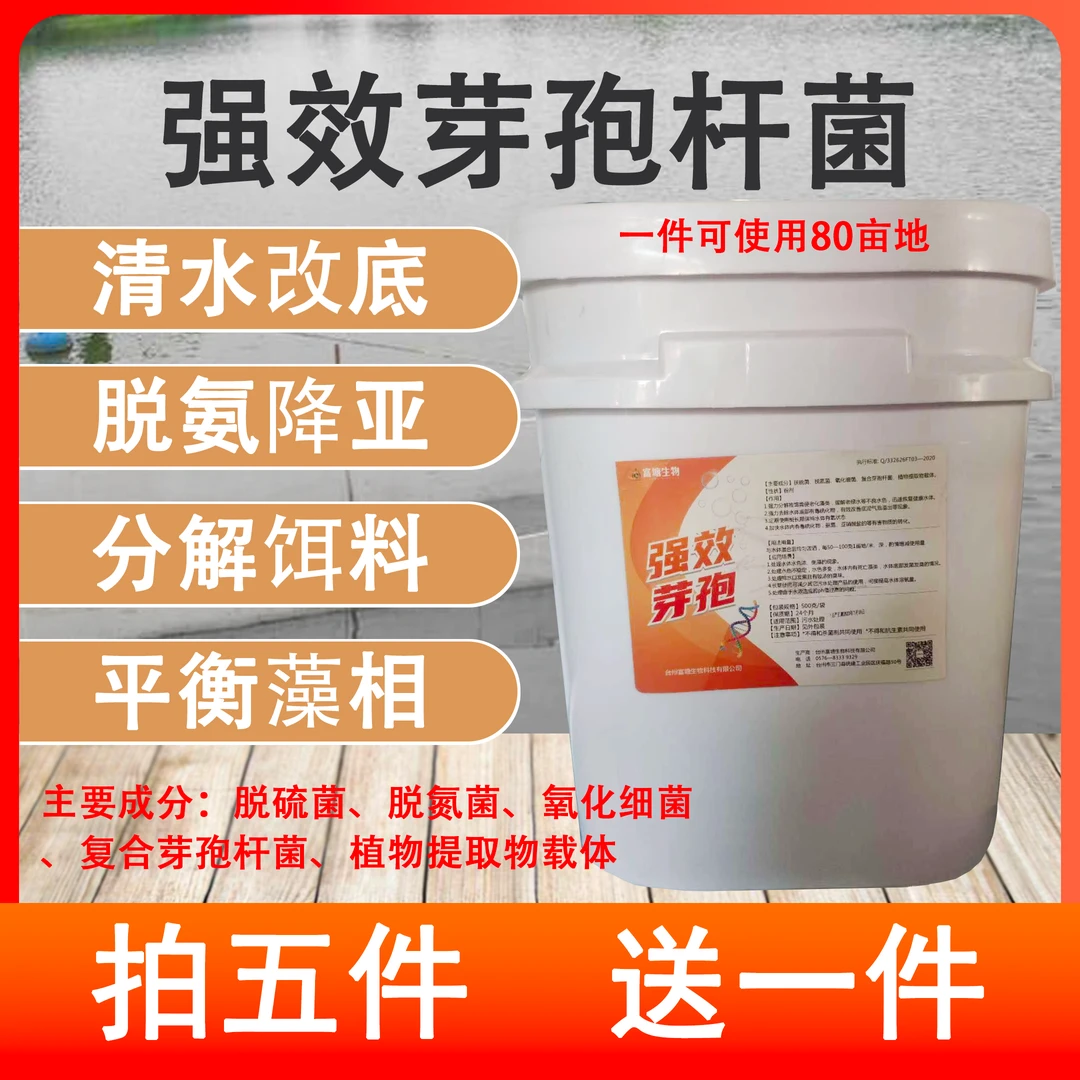 强效芽孢杆菌 清水改底 脱氨降亚 分解饵料 平衡藻相 有效氨氮