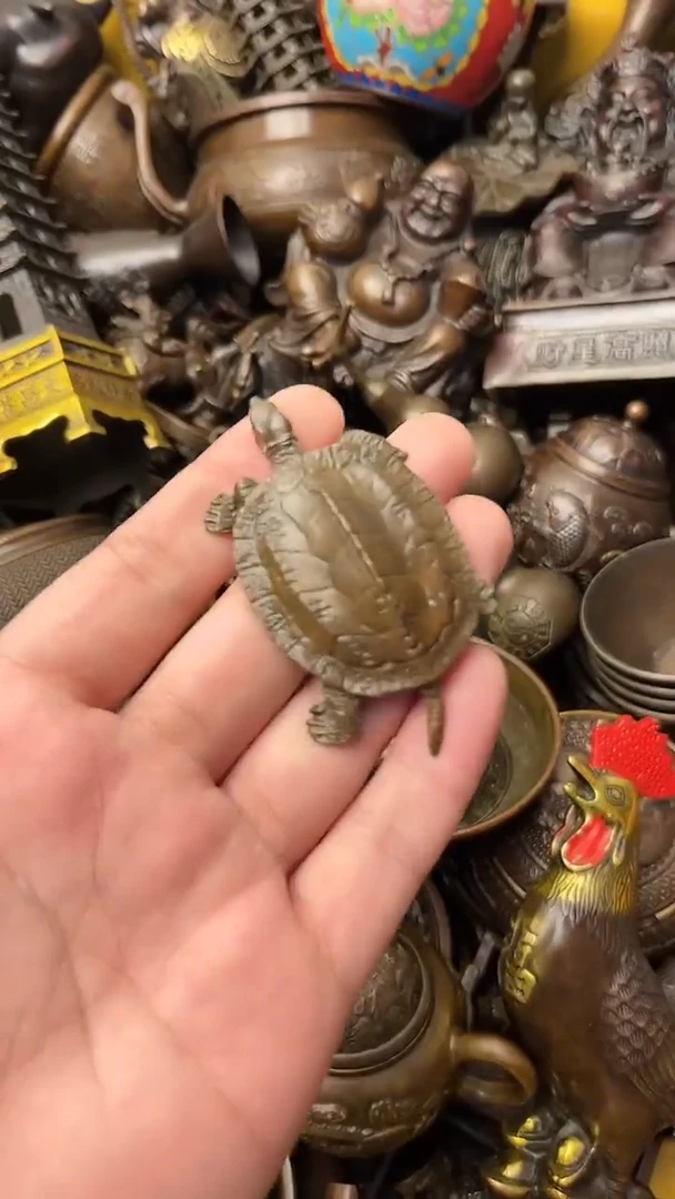 【闪购商品】青铜小乌龟