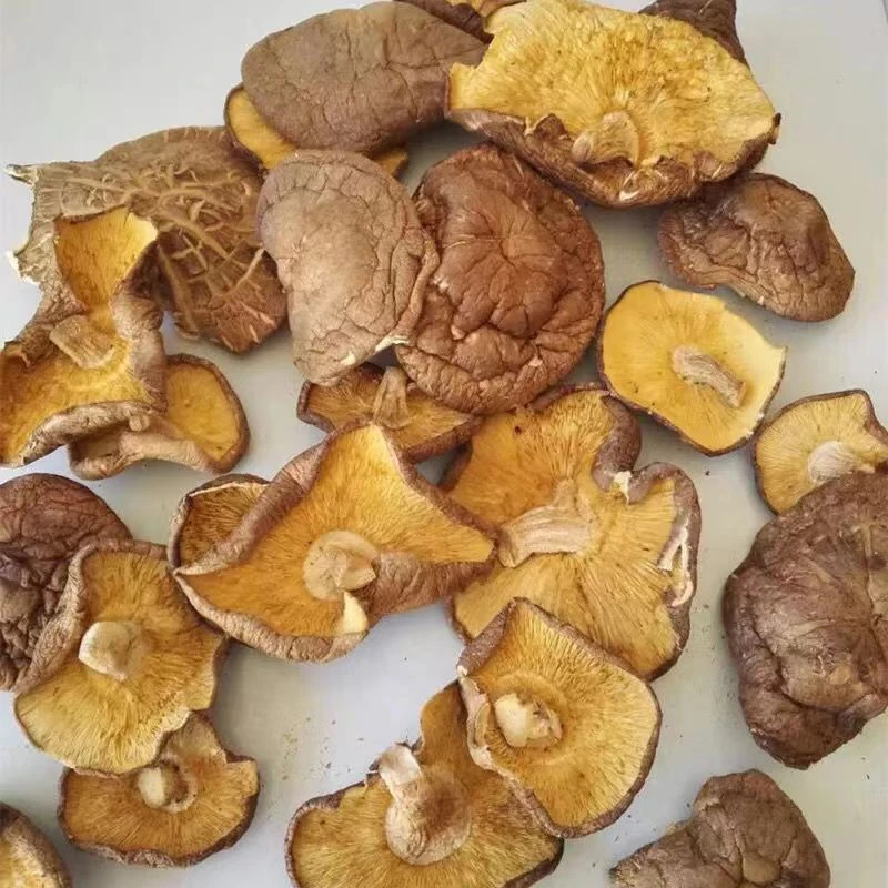 云南山货 高海拔大山香菇 500克装