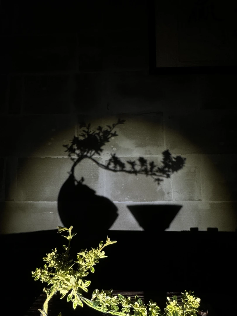 龙窑柴烧建盏利福款