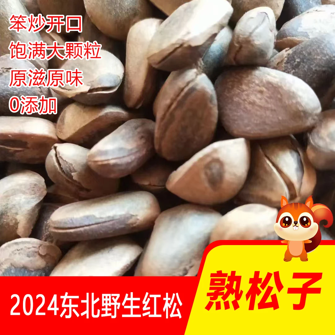 东北特产2024年野生松子 开口熟松子