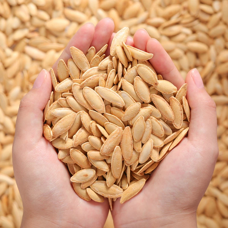 陈小泡10号大颗粒美人甲南瓜子罐装长粒椒盐味南瓜子小零食炒货