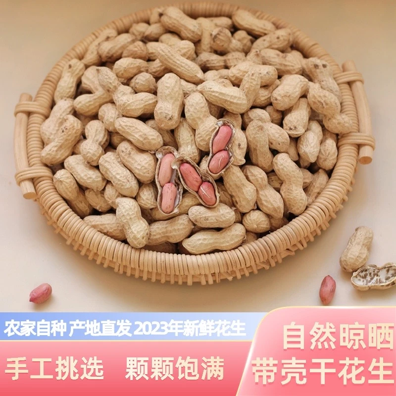 【生花生】新鲜带壳晒干干花生新货手工挑选农家晒干生花生称重发货
