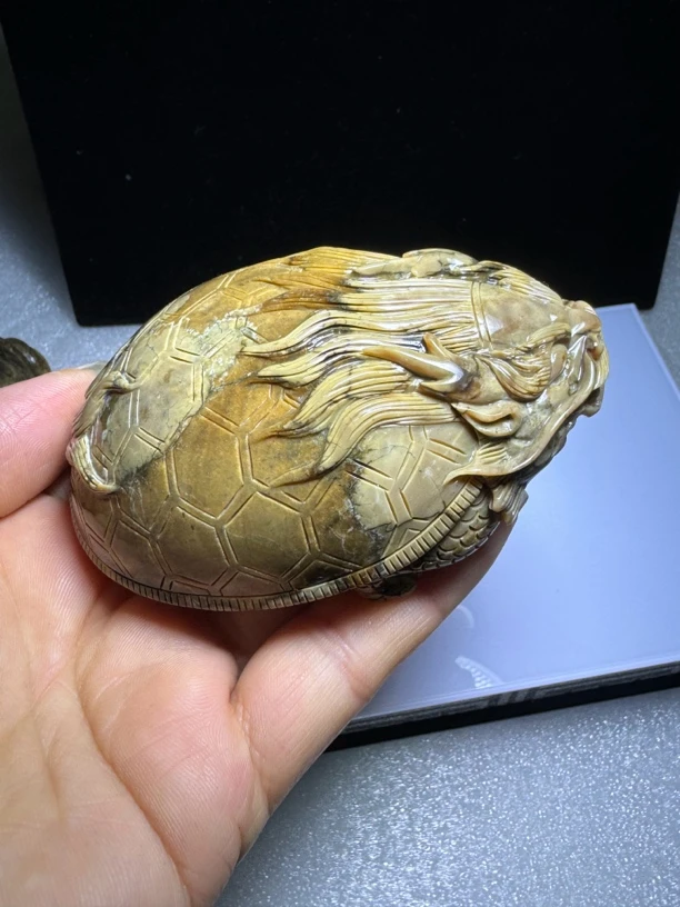 缅甸根蜡龙龟把件