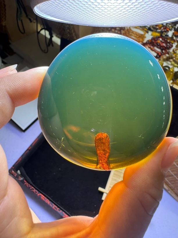缅甸天然琥珀植物