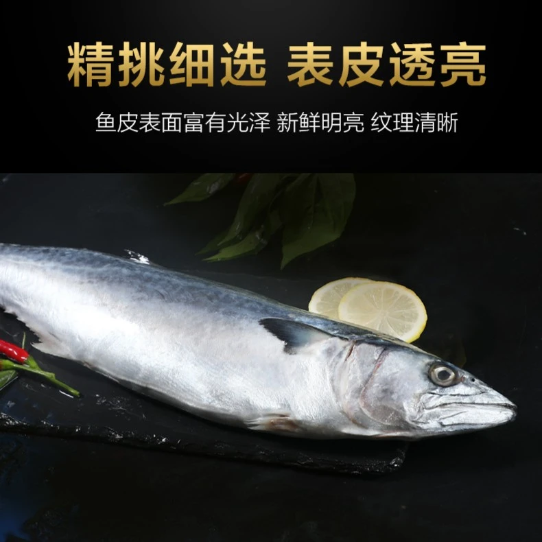 福建省 连江县  野生马鲛鱼（切片冻发）1500g