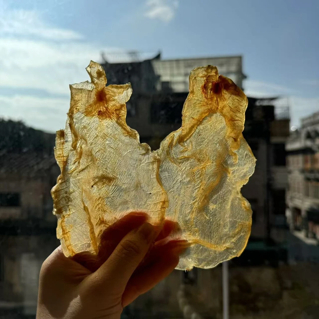 H413742 裕初 甲肚片500g 鱼胶 花胶 炖鸡汤清水 广东汕头