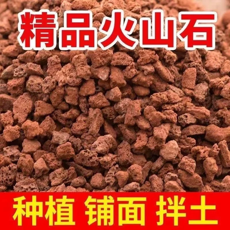 黑松盆景专用火山石种植铺面过滤精品