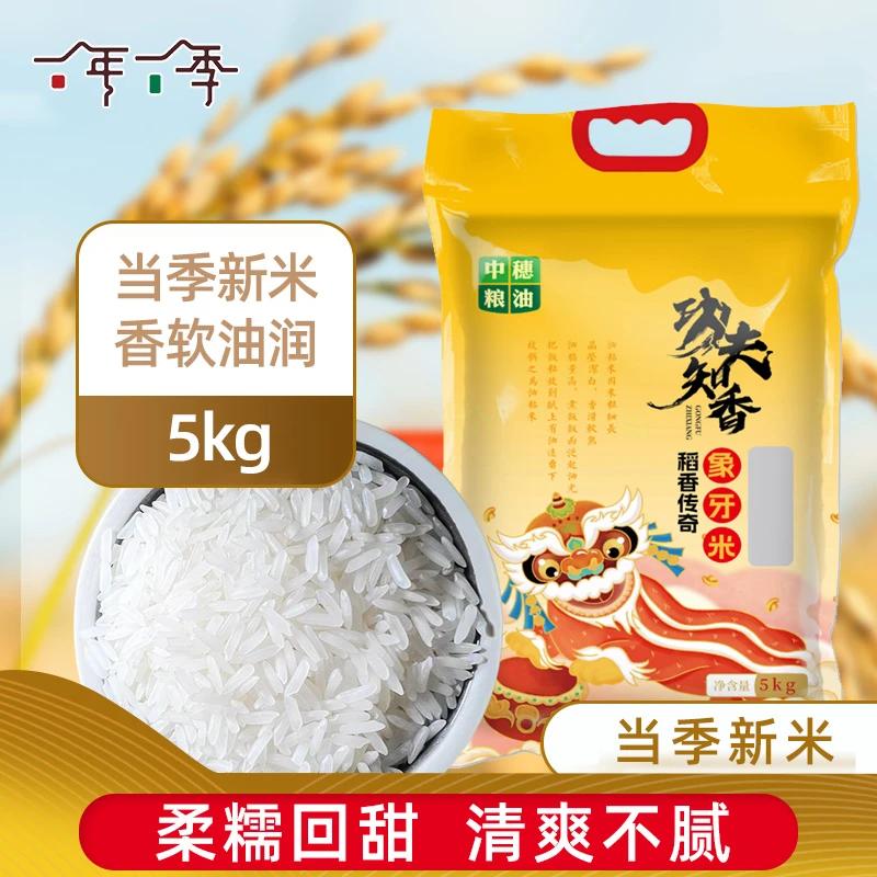 25年今年新米象牙香米10斤真空包装长粒香米新米软糯煲仔饭大米