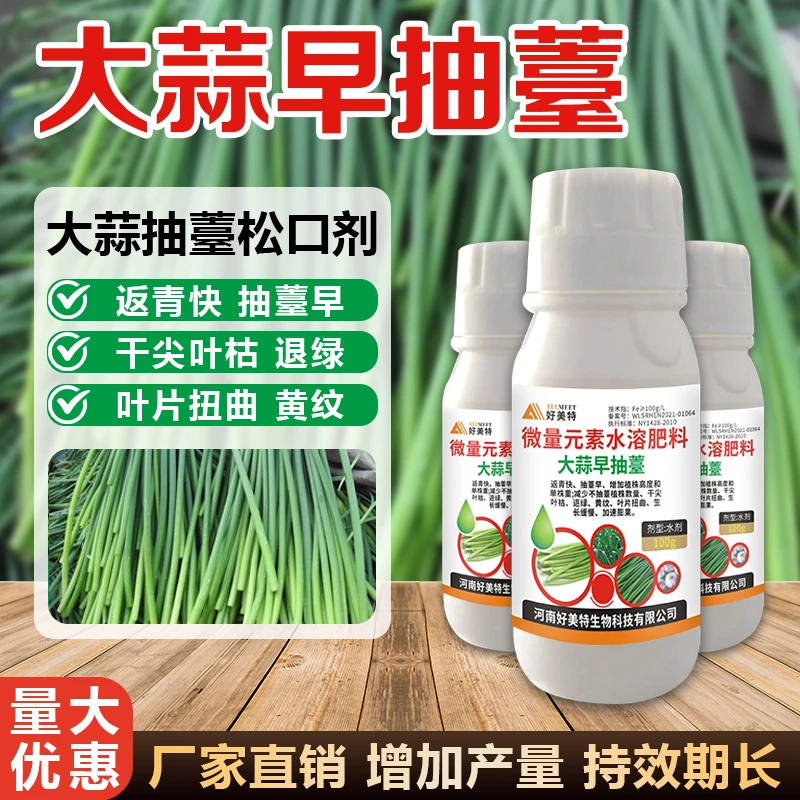 大蒜早抽薹快返青抽薹快膨大蒜头增粗葱姜蒜膨大素快速松口增产液