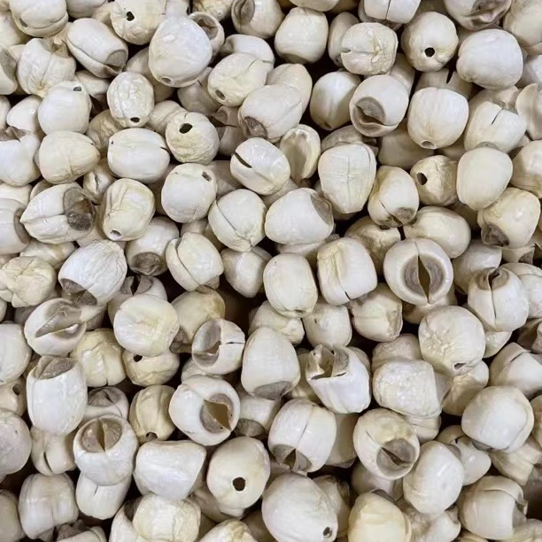 【等于弟】建宁莲子 400g