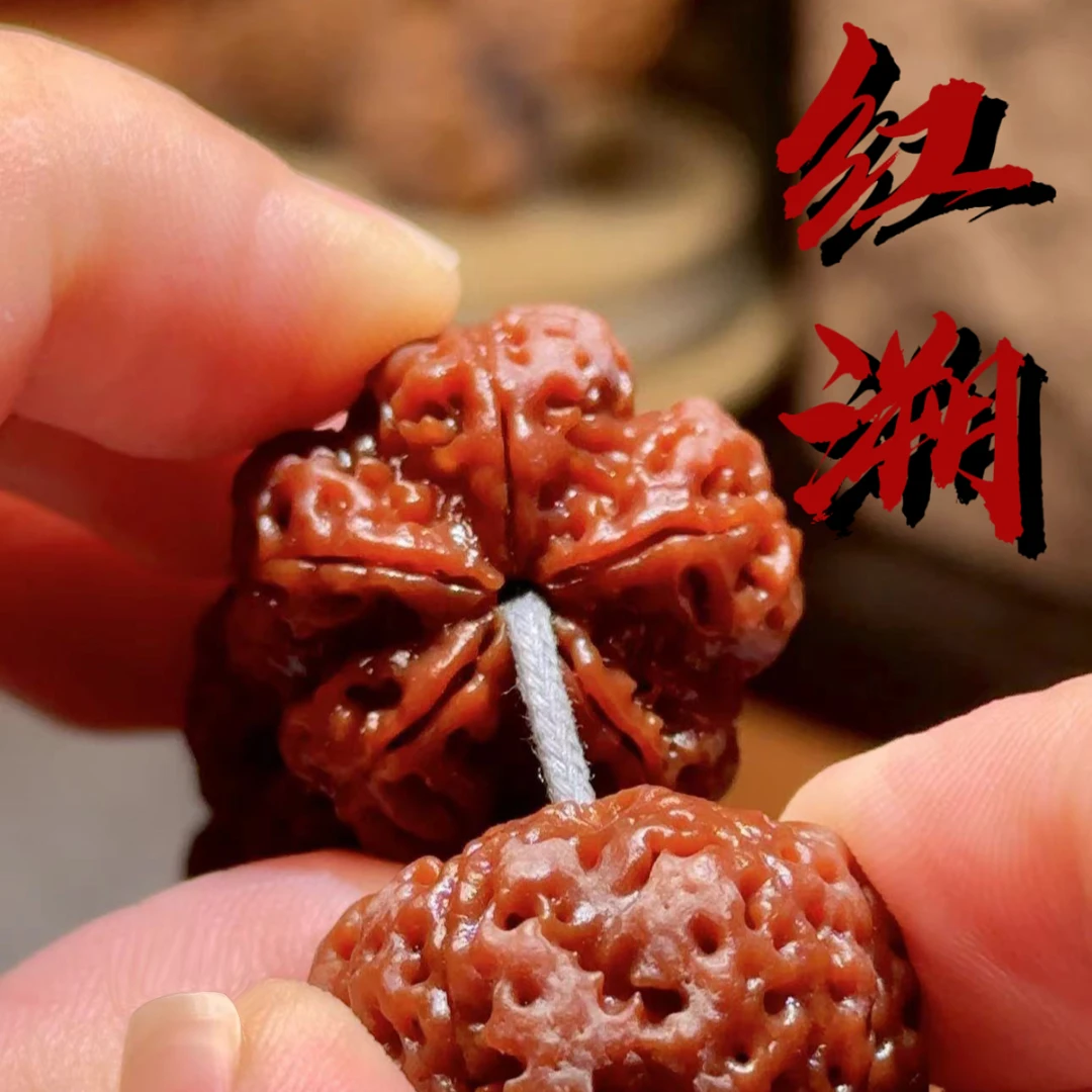 【红溯】大金刚菩提手串精品梅花桩五面龙姜黄皮