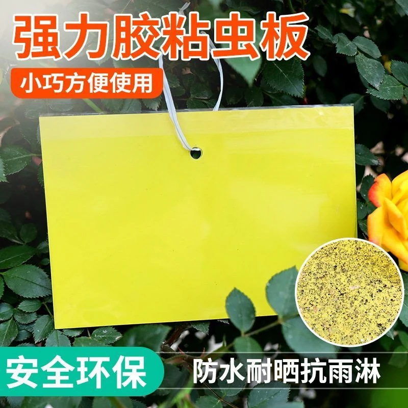 洛圣双面沾虫板强效治虫诱虫板黄色灭小飞虫防水家庭养花果园通用