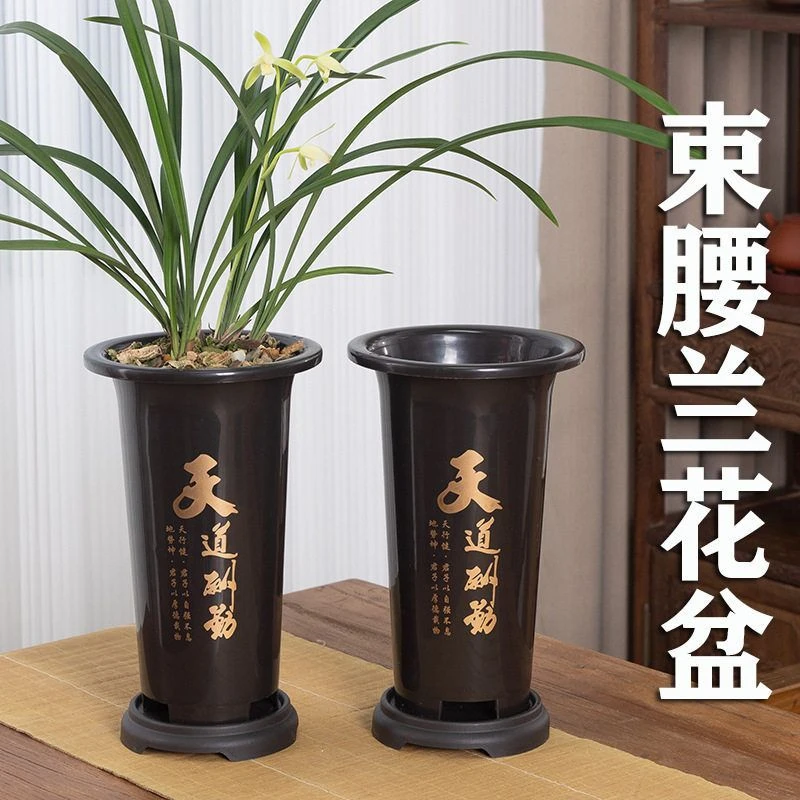 兰花专用盆塑料花盆塑料兰花盆清仓君子兰仿紫砂花盆加高兰草盆