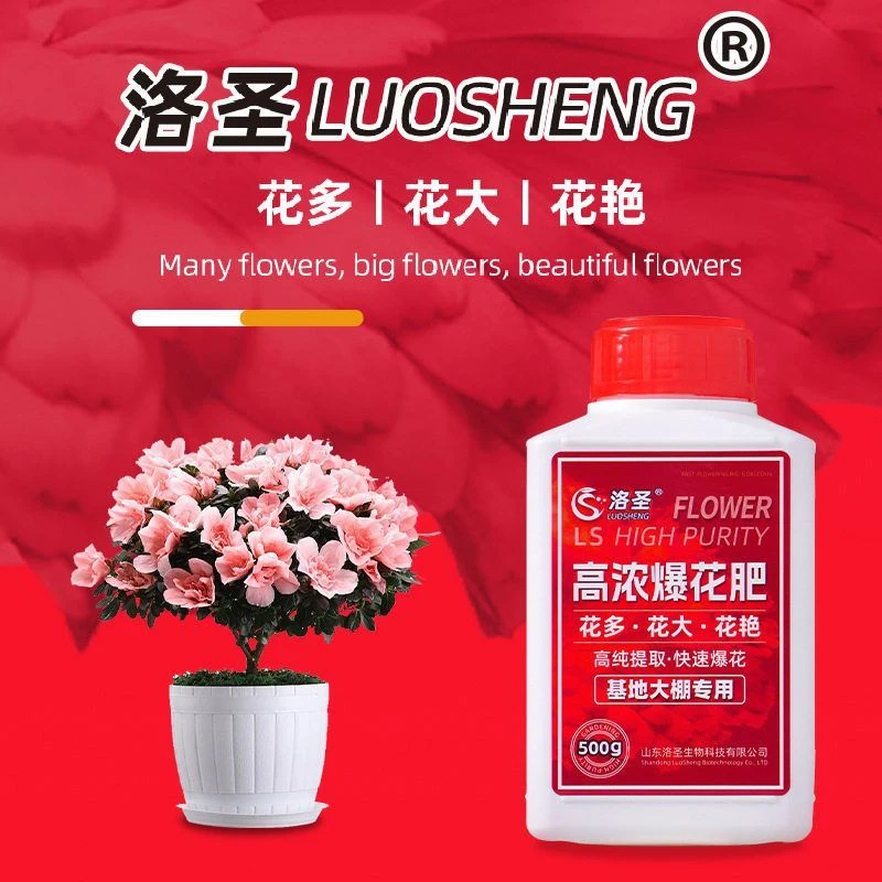 洛圣高浓爆花肥催花兰花发财树月季三角梅茉莉花肥料促花爆花专用