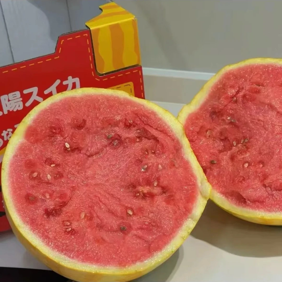 (顺丰 )黄皮西瓜黄金赤金西瓜稀有水果农家种植现摘新鲜水果礼盒
