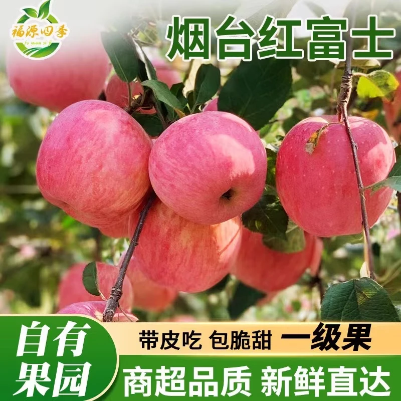 山东烟台红富士5斤当季水果苹果香甜可口肉厚多汁电商盒发货