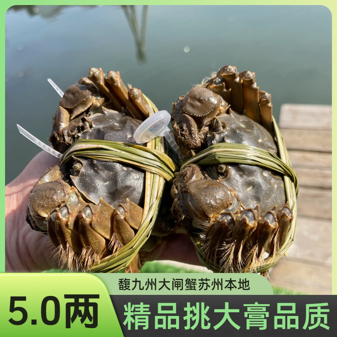 公母组合【活蟹】5.0两精品挑膏蟹公母对半组合