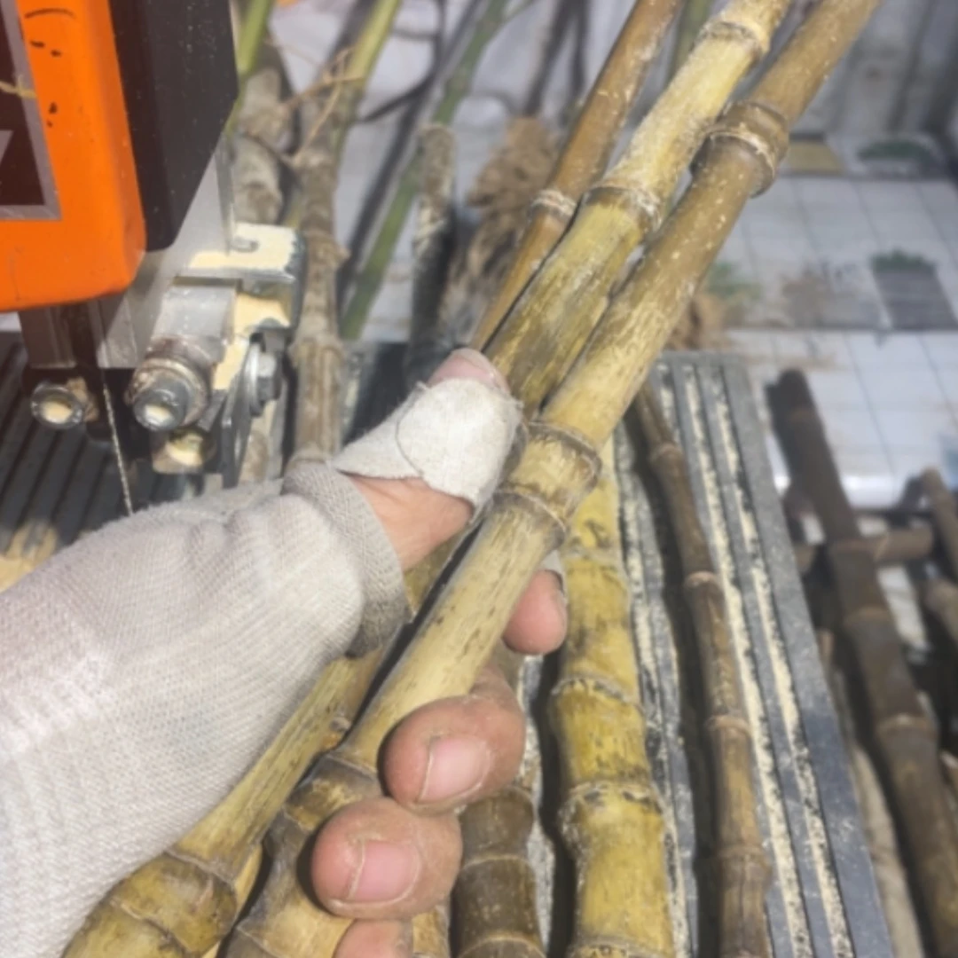 【闪购商品】鹿*实心竹