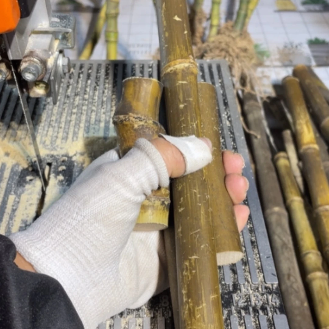 【闪购商品】岁*实心竹