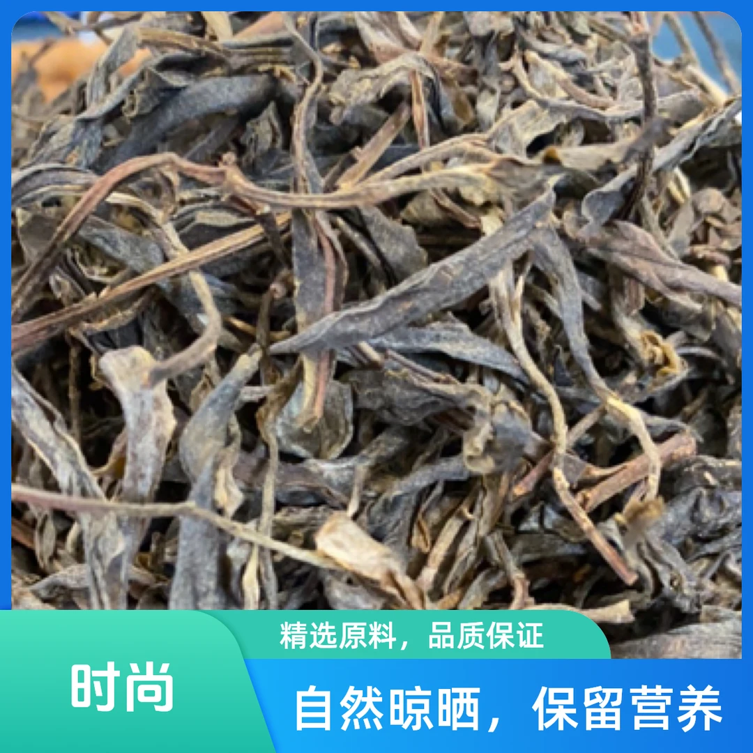 云南普洱茶 2023年 古树茶 生茶 500克