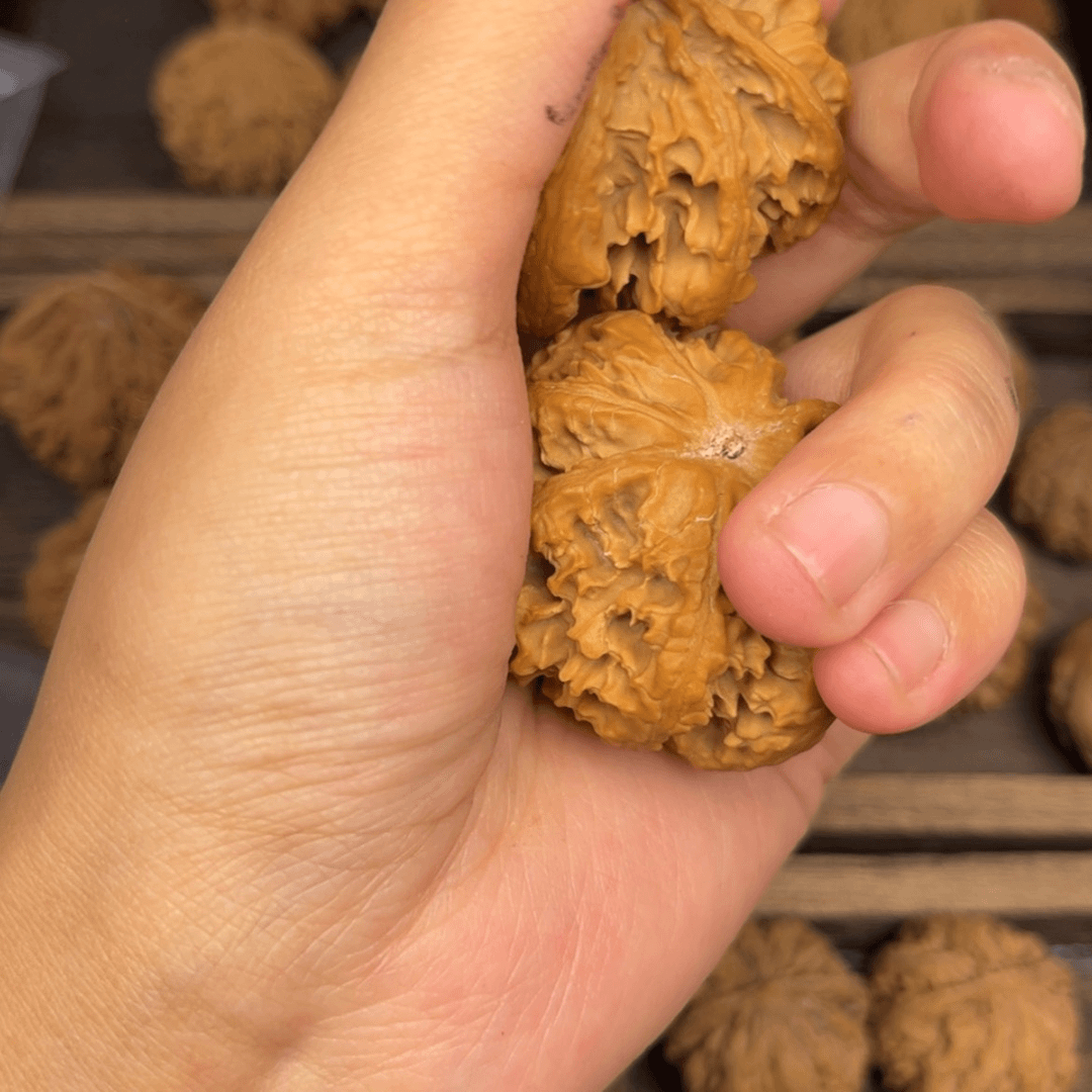 【闪购商品】桃核吊坠灵****司