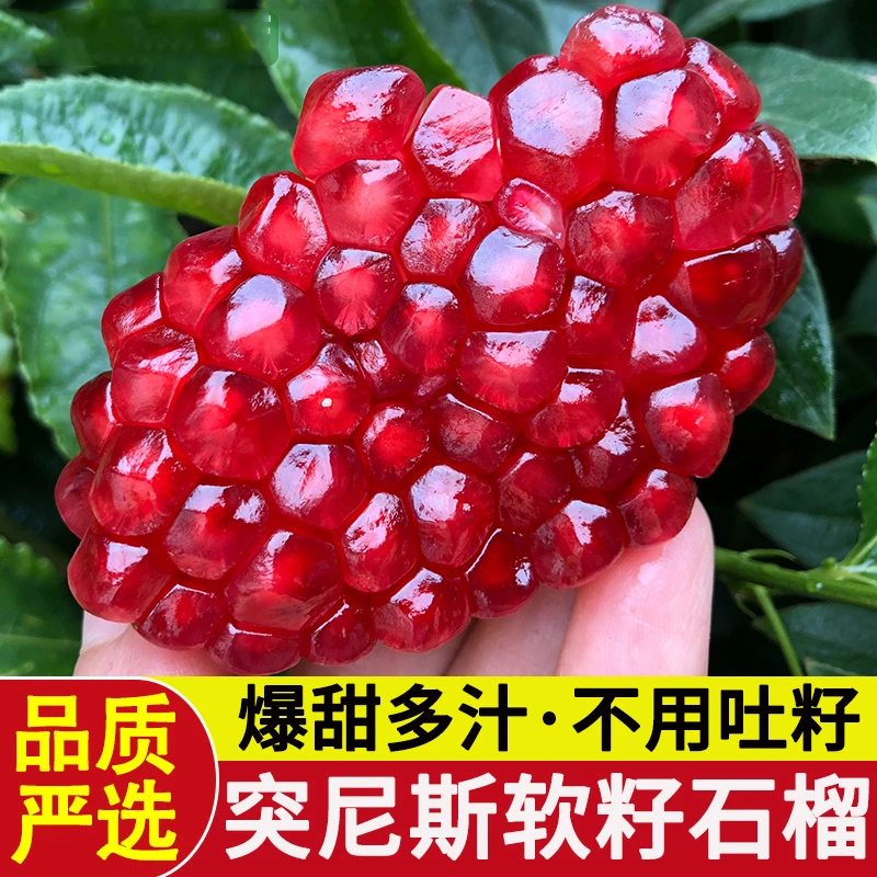 原产饱满正宗四川会理突尼斯软籽石榴甜蜜多汁新鲜美味产地直发