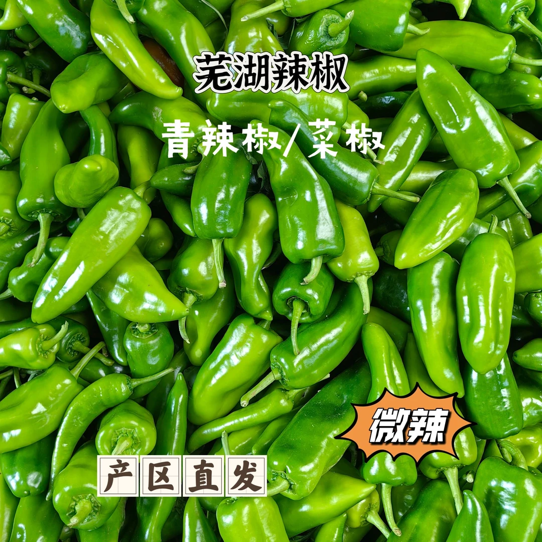 【青辣椒】芜湖辣椒农家青椒新鲜现摘饱满汁厚辣椒菜椒微辣香脆