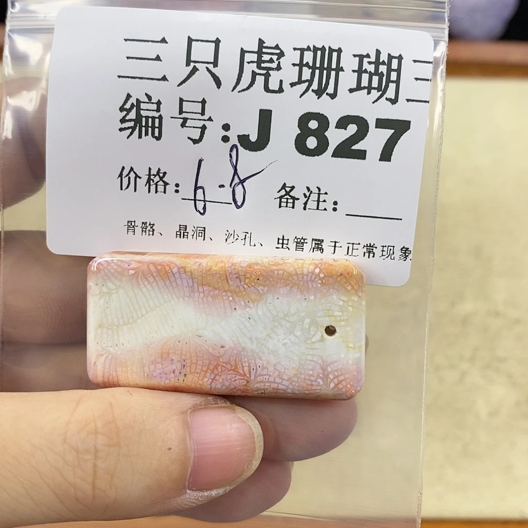 硅化珊瑚（珊瑚玉）1未镶嵌?*.