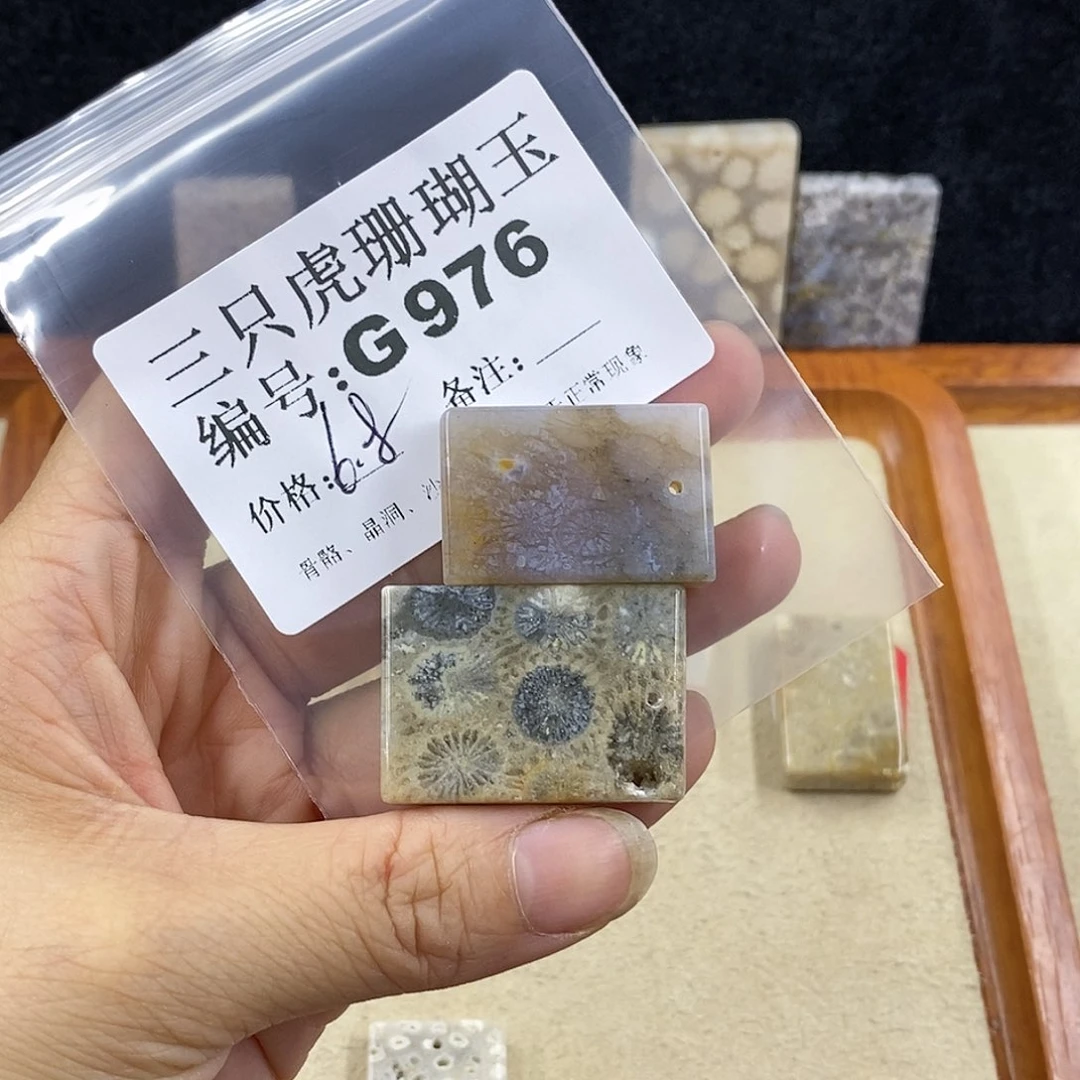 硅化珊瑚(珊瑚玉)1未镶嵌爱****s