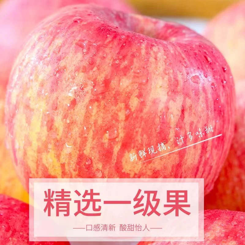 红富士苹果脆甜爽口精品自然精选鲜美香脆原生态新鲜营养