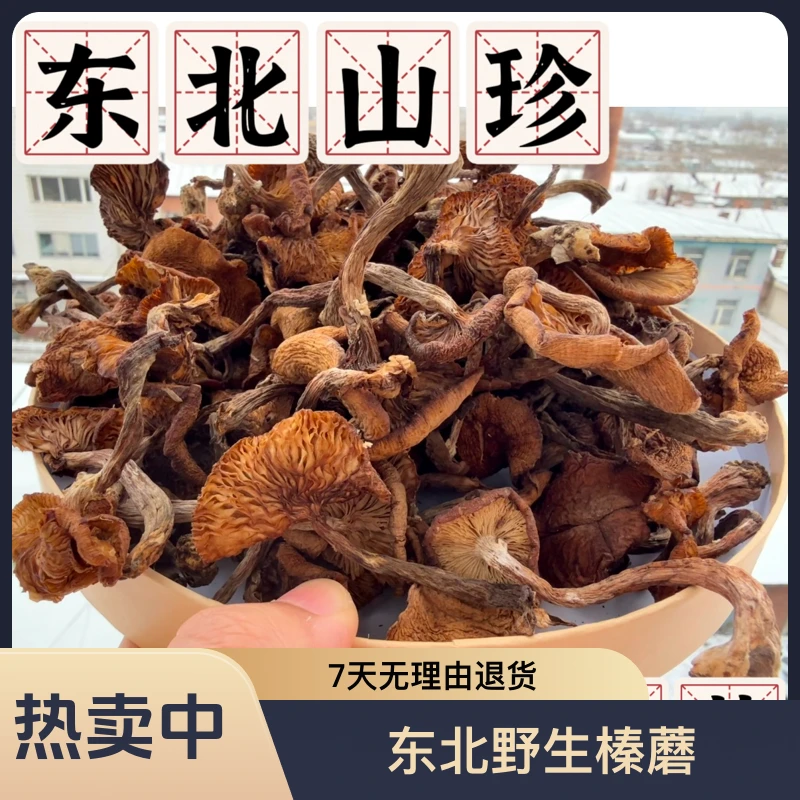 24年自家采的【 东北野生榛蘑 】 阳光下晾晒 老香了！纯纯小鸡克星