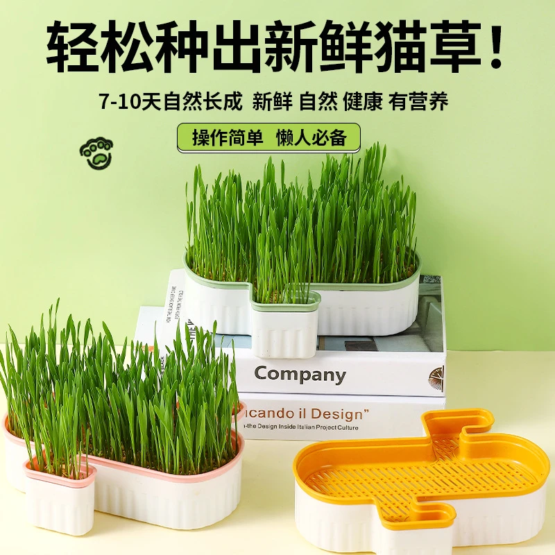水培猫草套装猫草种子猫零食懒人盆栽化毛去毛球天然猫草猫咪用品