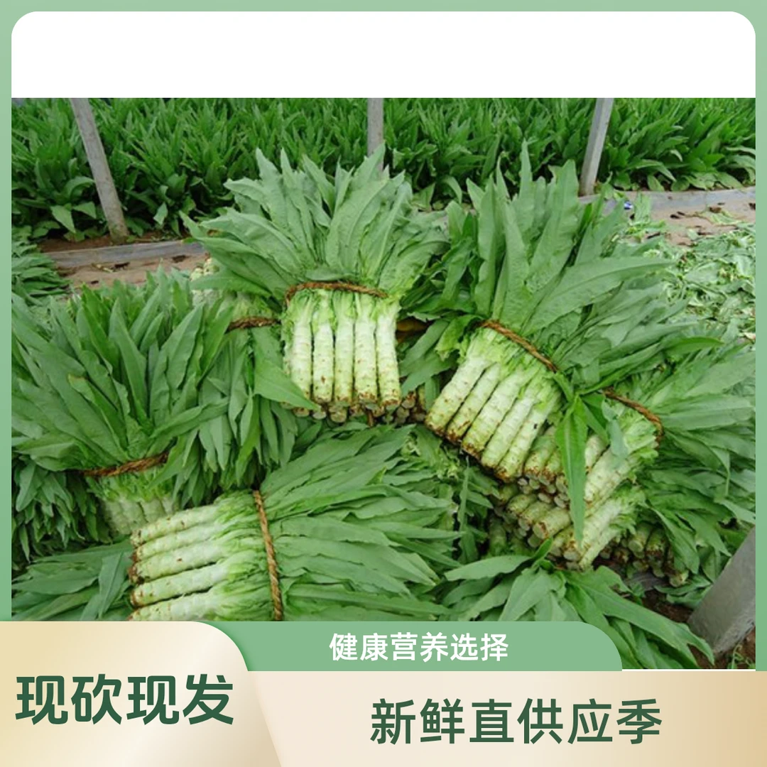 农家自种莴笋新鲜现砍现发青叶青皮绿心时令青菜（顺丰包邮)